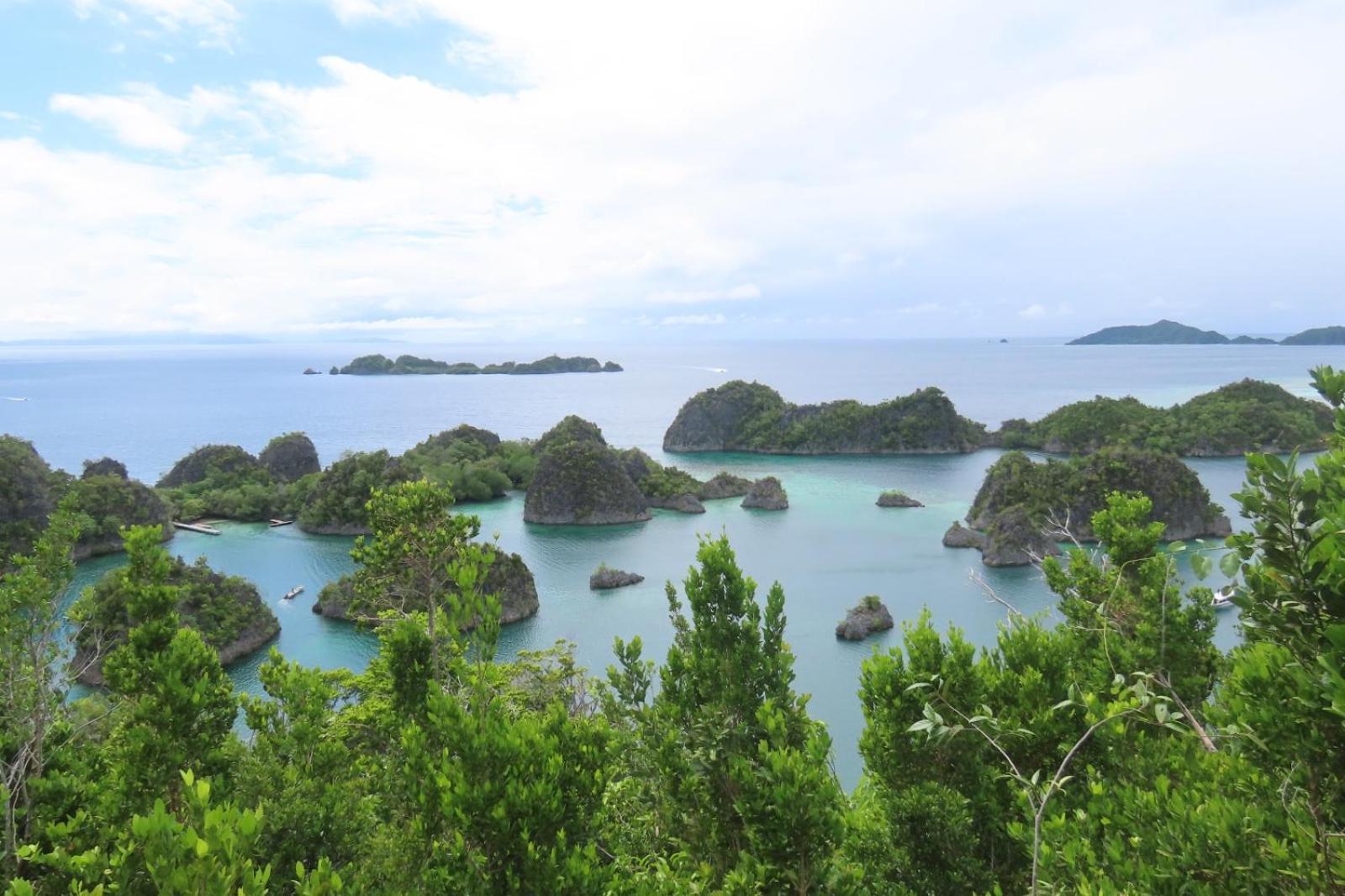 Nyanse Homestay - Raja Ampat Besir Exterior photo
