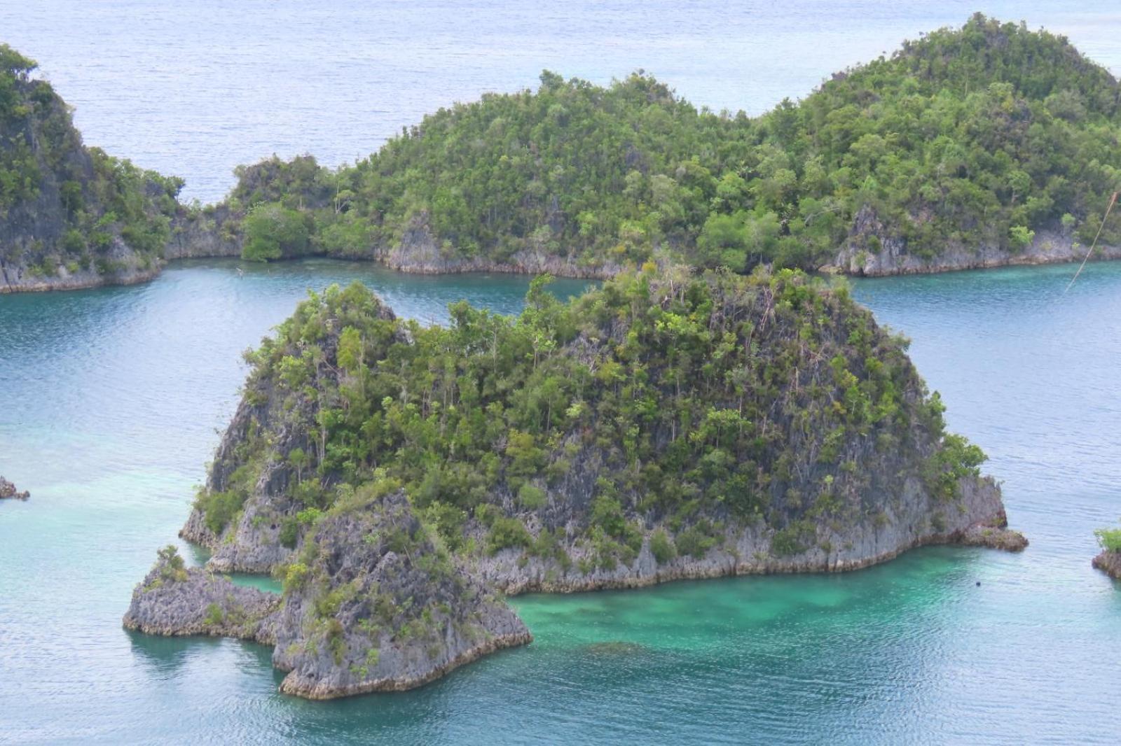 Nyanse Homestay - Raja Ampat Besir Exterior photo