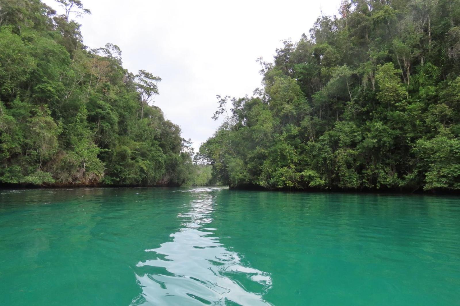 Nyanse Homestay - Raja Ampat Besir Exterior photo