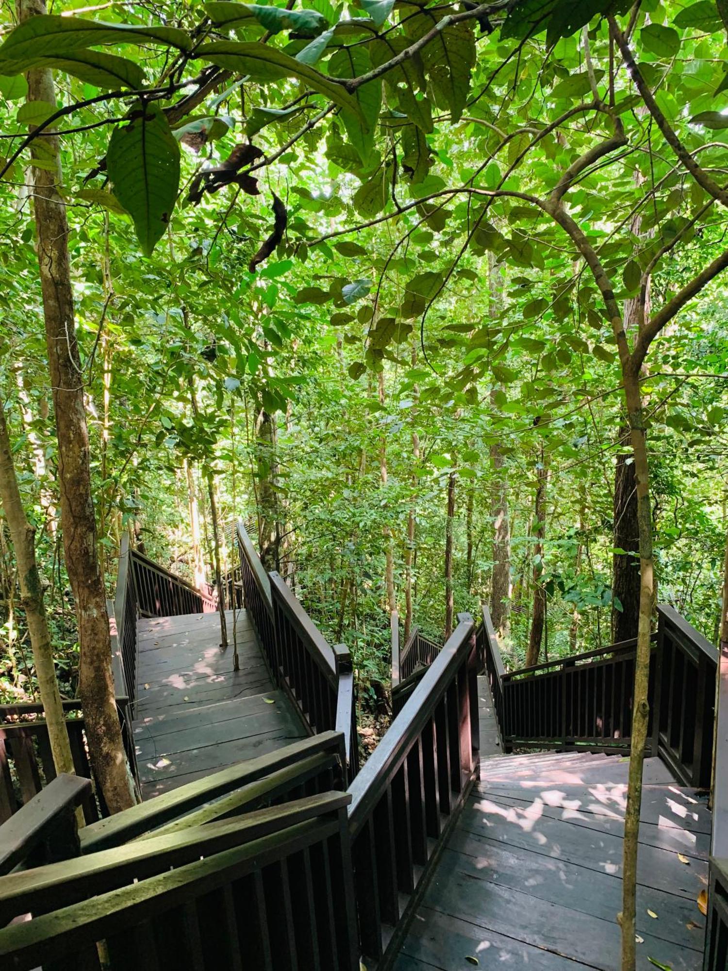 Nyanse Homestay - Raja Ampat Besir Exterior photo
